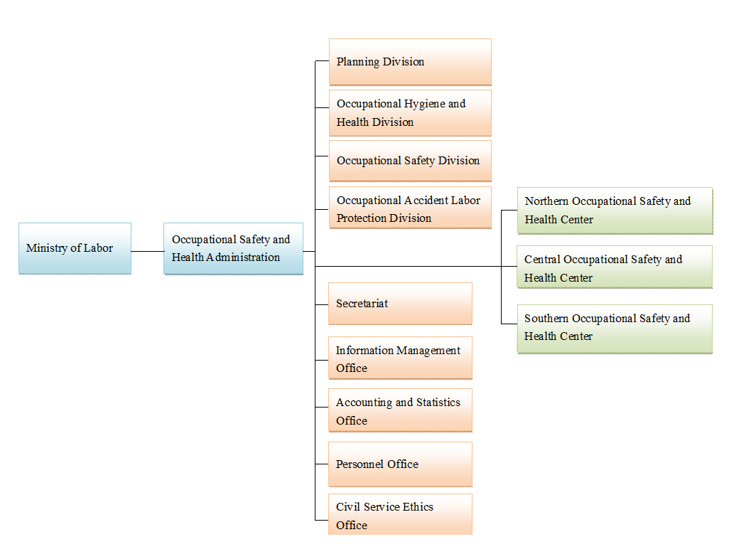 Organization Structure